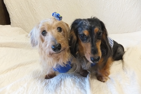 DSCF2718.jpg