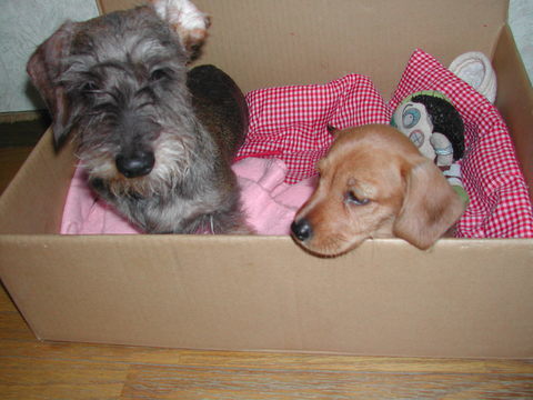 DSCN0133.JPG