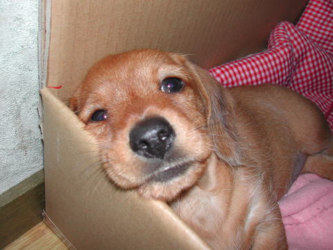 DSCN0135.JPG