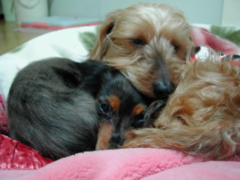 DSCN0138.JPG