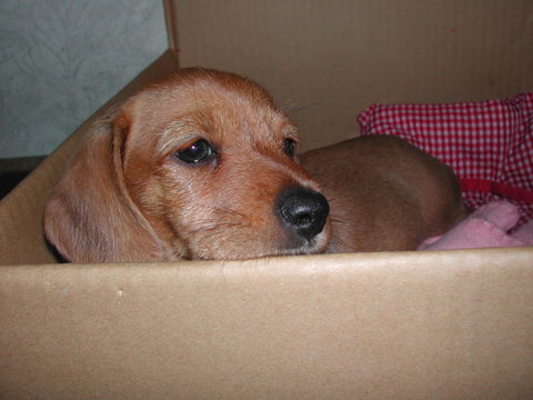 DSCN0139.JPG