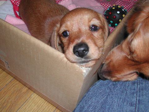 DSCN0140.JPG