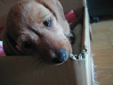 DSCN0153.JPG