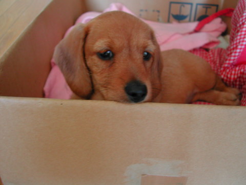 DSCN0154.JPG