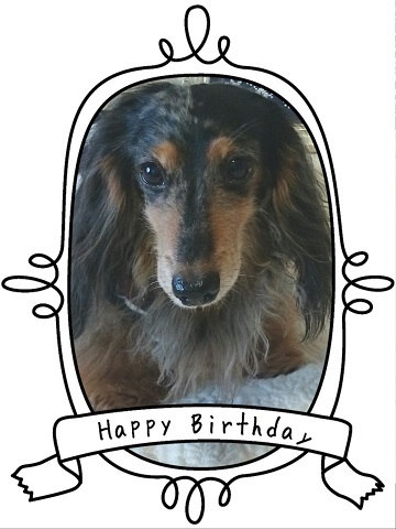 Happy Birthday_20151226_194238.jpg