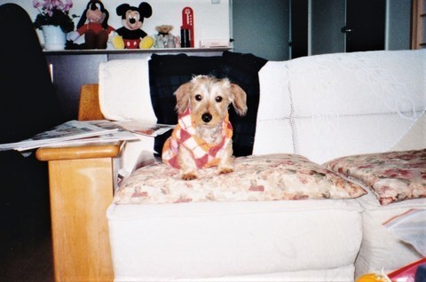 IMG_20200518_0008 (2).jpg