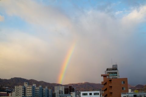 IMG_8486-1.jpg