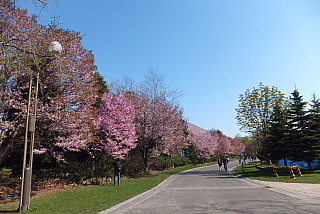 conv0001.jpg