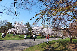 conv0003.jpg