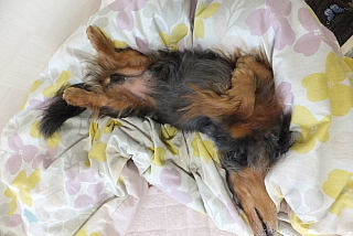 conv0003.jpg