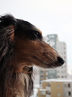 conv0004.jpg