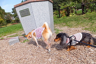 conv0005.jpg