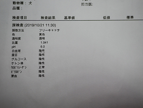 conv0013.jpg