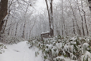 conv0036.jpg